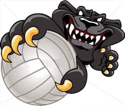 Panthers Volleyball